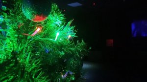 Влог / 20.12.2025 / Трамваи опять поломались, сходили на день рождения