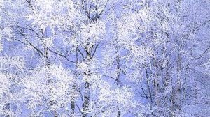 Новогодняя песня (караоке)