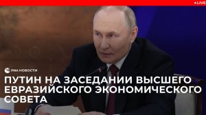 Путин на заседании Высшего Евразийского экономического совета