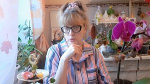 1000015538.mp4  🖋️🚀НОЧЬ БЫЛА У МЕНЯ ВЕСЁЛАЯ,ВСЕГДА НАДЕЮСЬ НА ЛУЧШЕЕ 🙏 💃🔥МОИ БУДНИ 🚀🖋️