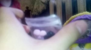 барсики заболели. Часть 2