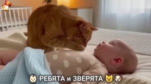 Ребята и зверята от ИИ милое видео для души и радости 👶🏻😺🐶 (10)
