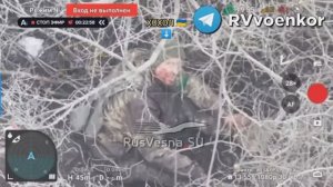 🇷🇺🔥103 полк массово уничтожает пехоту ВСУ, наступая к Константиновке