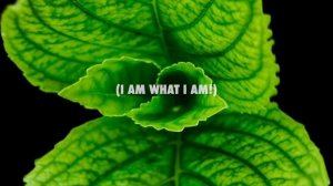 Blind Channel - Alone Against All