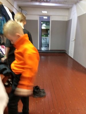 помидор года