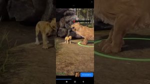 играю в игру Stealth  Master