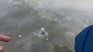 ПЕРВЫЙ ЛЕД В ДЕКАБРЕ!РЫБАЛКА НА БЕЗМОТЫЛКУ! СТАИ РЫБЫ КИШАТ ПОДО ЛЬДОМ!