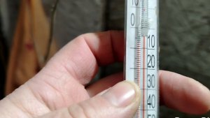 21-12-2025 Мы замерзаем 🤦.