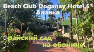 ТУРЦИЯ. Beach Club Doganay Hotel 5* Аланья. Как это все уместилось здесь? ч.3