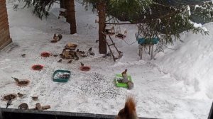 с добрым субботним утром