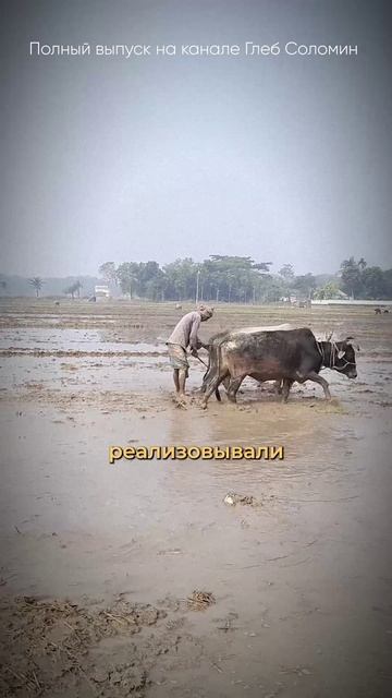 НАШ МОЗГ НЕ МЕНЯЕТСЯ! Дробышевский | Смотри полный выпуск на канале Глеб Соломин #наука смотреть онлайн