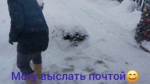 Снежное воскресенье! Не могу над Люськой😂