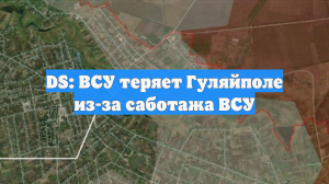 DS: ВСУ теряет Гуляйполе из-за саботажа ВСУ