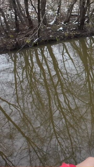 Окунь на нимфу в микро речке смотреть онлайн