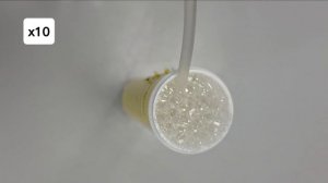 Февральская естественно-научная программа. Сириус