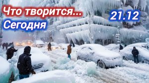 СЕГОДНЯ. 21. 12. 2025. ПОГОДНЫЕ АНОМАЛИИ. ПРОИСШЕСТВИЯ. КЛИМАТ. ВСЕ НОВОСТИ В ОДНОМ ВЫПУСКЕ.