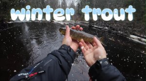 | Зимние приключение | Ручьевая форель в декабре |