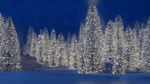 DeePeopleProject - El Mariachi (Latin Live) Латино Кафе