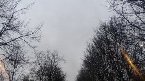 22 декабря до темноты без осадков в ночь снег ❄️ до утра....