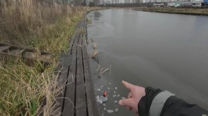 Жерлицы Дубна 20.12.25