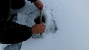 Зимняя рыбалка. Ловля налима. Устанавливаем поставухи на налима. Томская область, ноябрь 2017.