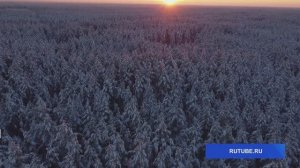 День зимнего солцестояния