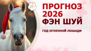 ПРОГНОЗ по ФЭН ШУЙ на 2026 год