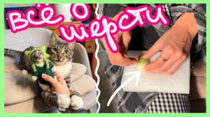 КАК я начала валять из ШЕРСТИ?!