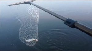 Видео от За Трофеем: Охота и Рыбалка