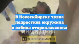 В Новосибирске толпа подростков окружила и избила второклассника