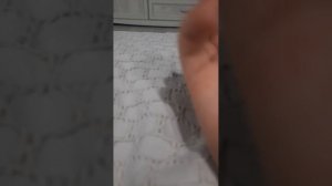 монета 1814 года