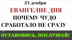 23 декабря Евангелие дня «Вижу людей, как деревья». Самое странное чудо Христа