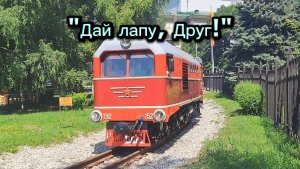 Ростовская ДЖД в фильме "Дай лапу, Друг!" 1967