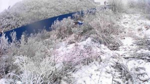 Охота на зайца с эстонкой. 6