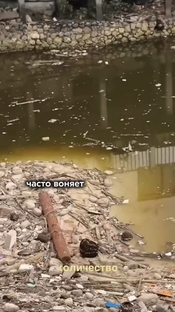 5 МИНУСОВ ЖИТЬ НА БАЛИ❌ смотреть онлайн