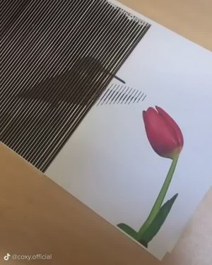 Живая картинка