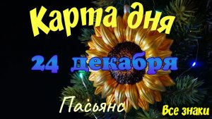 Карта дня❄24 декабря🎄☃️Пасьянс. Тайм-код в описании🦢