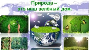 МИР ЦВЕТА, ОЧЕНЬ ЗРЕЛИЩНО