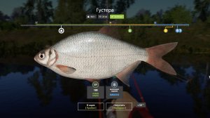 Русская Рыбалка 4-Новогодние Задания 2026: Густера не менее 350гр р. Вьюнок