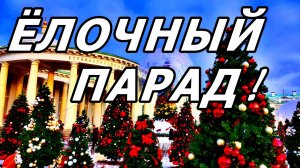 🎄ЁЛКИ-ПАЛКИ, СКОЛЬКО ИХ В МОСКВЕ?!