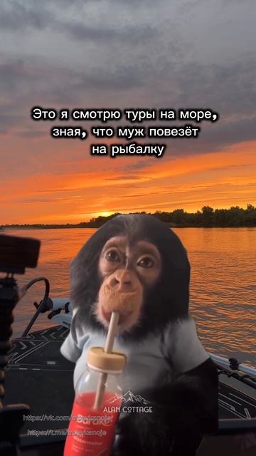 Главное, чтобы не на зимнюю🥶 #рыбалка #реки #лодка #boat #троевканоэ #салют585 смотреть онлайн