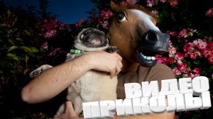 ПРИКОЛ \ ПОДБОРКА ПРИКОЛОВ Я РЖАЛ ДО СЛЕЗ, ЛУЧШИЕ ПРИКОЛЫ 2025 СМЕШНЫЕ ВИДЕО, ДЕВУШКИ , ПОДБОРКА