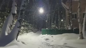 Ночной парк  удивляет своей красотой. Иду с работы