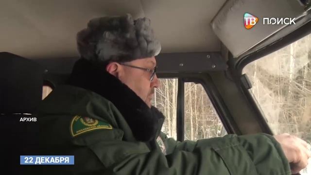 Гость в студии. Юлия Богомазова, старший участковый лесничий