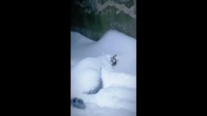 Грустная история со счастливым концом