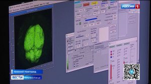 Новую методику определения границ новообразований разрабатывают нижегородские учёные