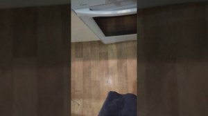 ВАРЮ ПЕЛЬМЕШКИ В СКОВОРОДКЕ