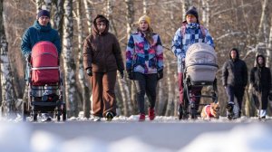 В Госдуме назвали суммы ежемесячных выплат семьям с детьми в 2026 году