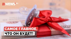 В Госдуме рассказали о будущем маткапитала