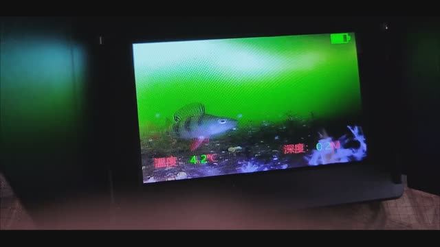 ПОДВОДНАЯ КАМЕРА Heimerdinger 360° LB134 смотреть онлайн